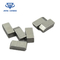 K01, K05, P40, M30 Ujung Tungsten Carbide, Tungsten Carbide Saw Blade pemasok